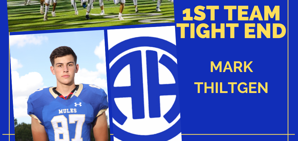 1st Team All-District Tight End