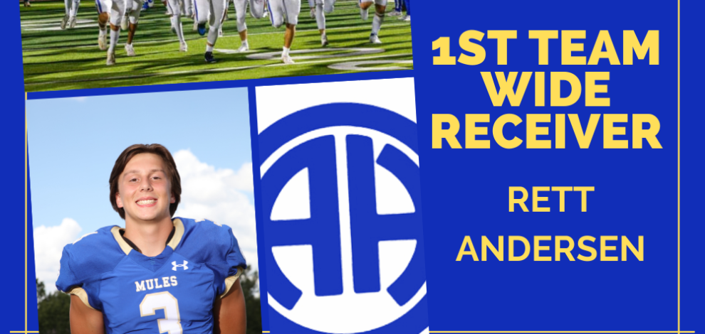 1st Team All-District Wide Receiver