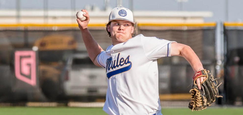 Mules Baseball 2022
