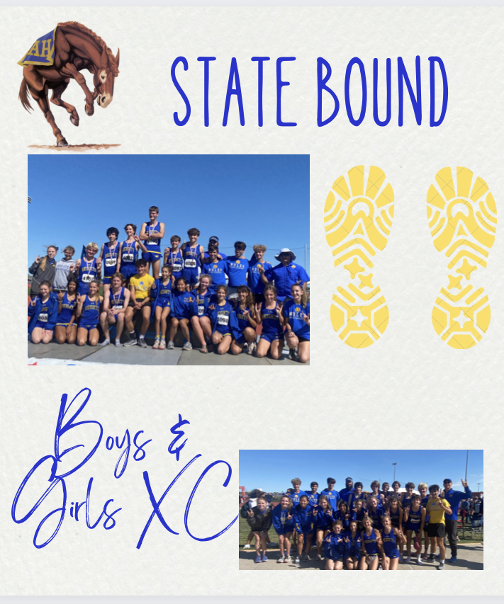 Both Girls & Boys XC Advance to STATE!