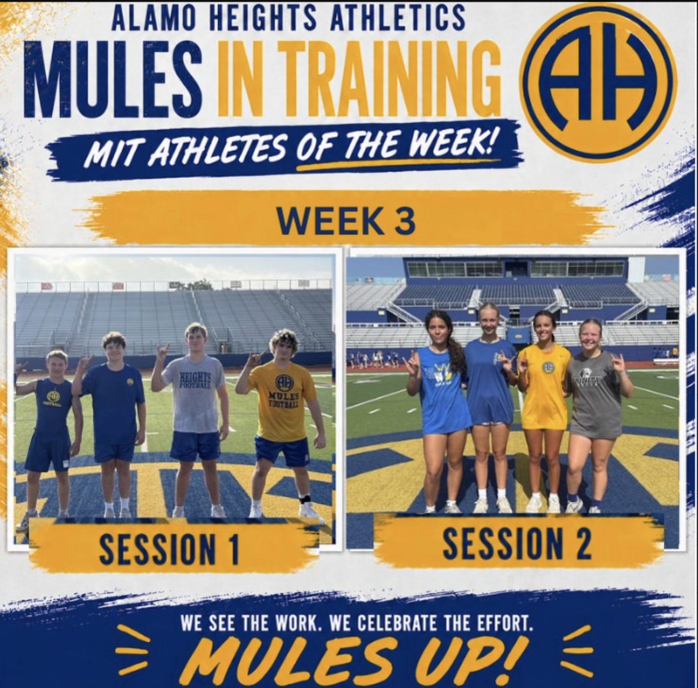 Week 3 MIT Athletes of the Week